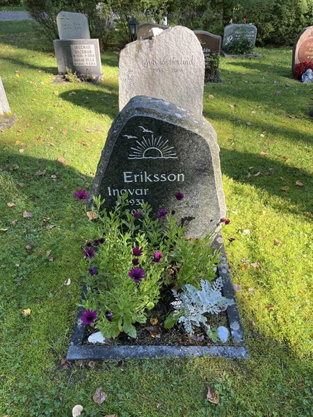 Gravnummer: 30ST HÄGG    29