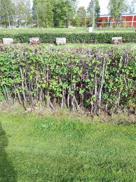 Gravnummer: NK F B   125