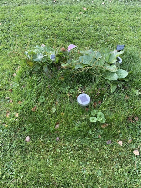 Gravnummer: 2 G    86