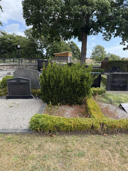 Grave number: SP A   786