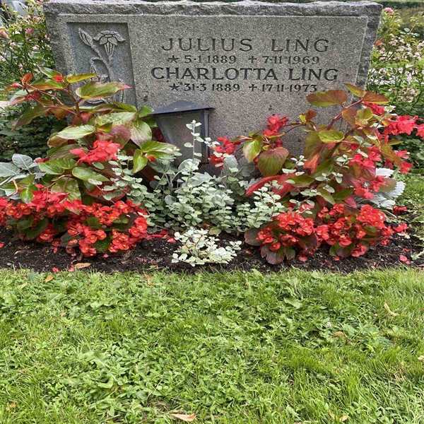 Hautatunnus: 1 T   163