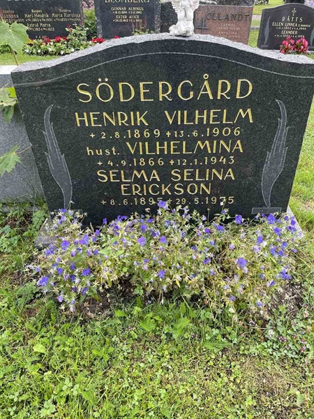 Gravnummer: N 4 3   387