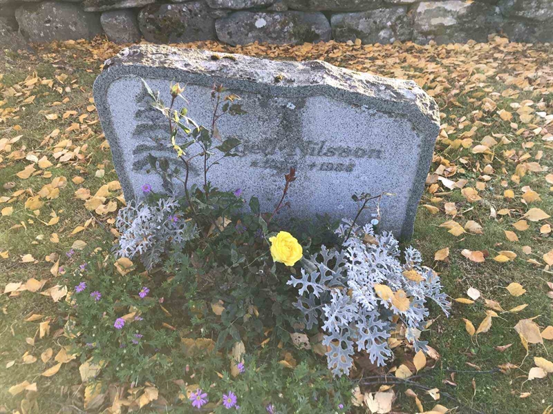 Grave number: ÅR B   365