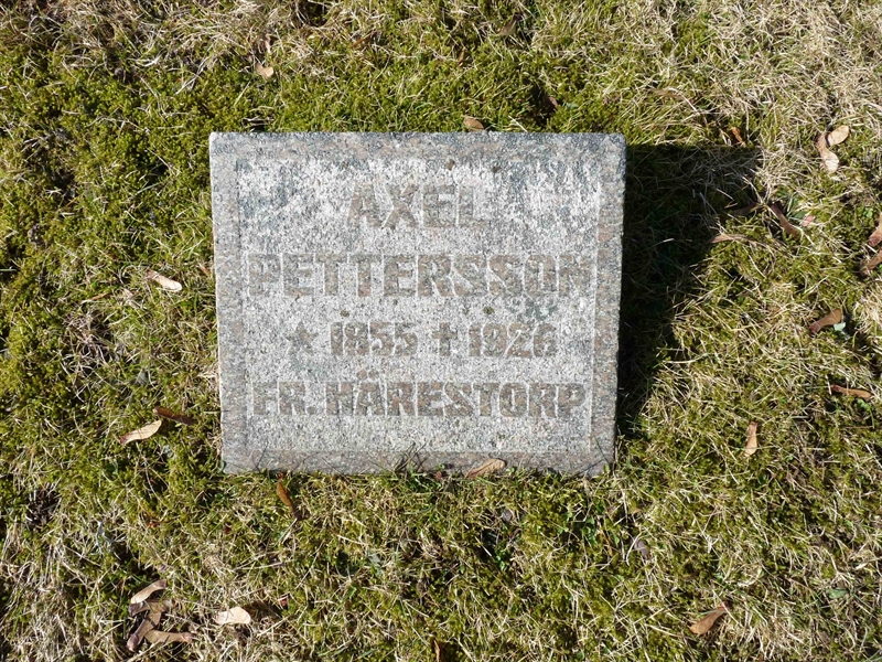 Grave number: SV 5   91