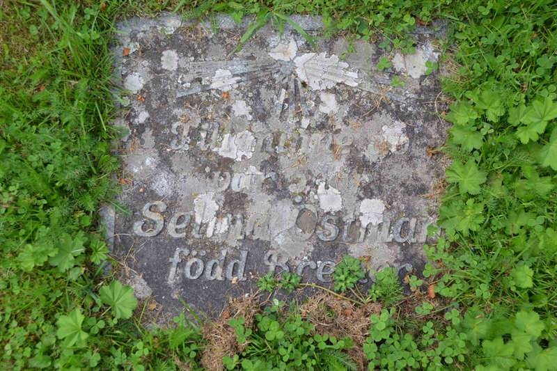 Grave number: 2 D   259