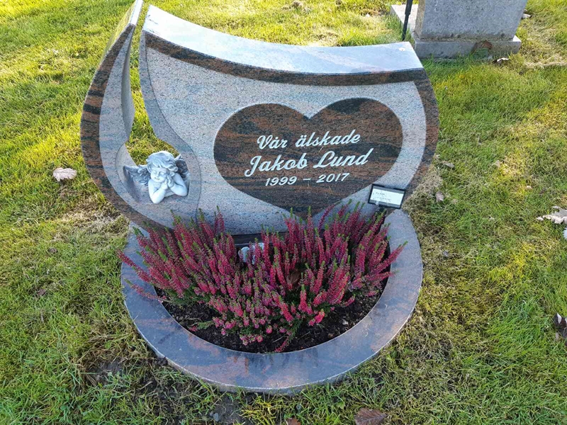 Hautatunnus: Fr 8    95