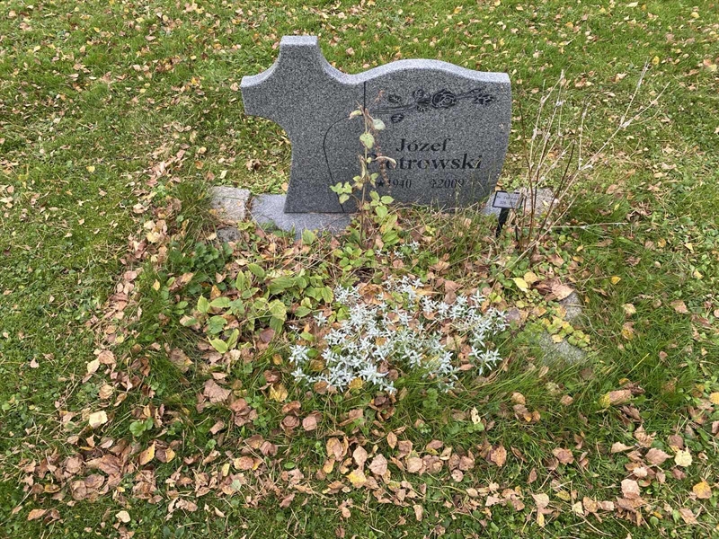 Hautatunnus: 2 C   326-327