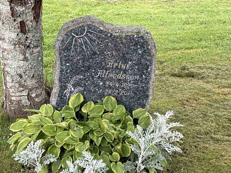 Grave number: IN 31   106