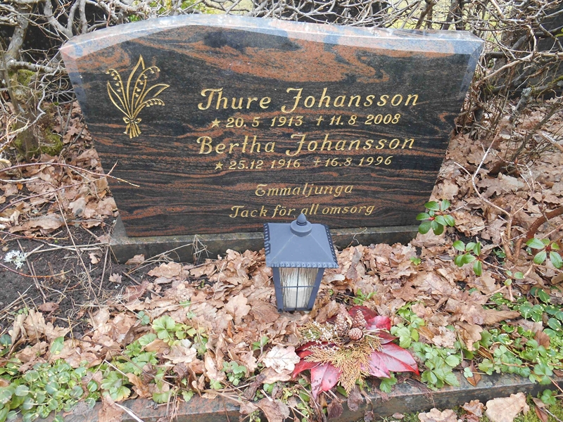 Grave number: Vitt VD1Ö    27, 28