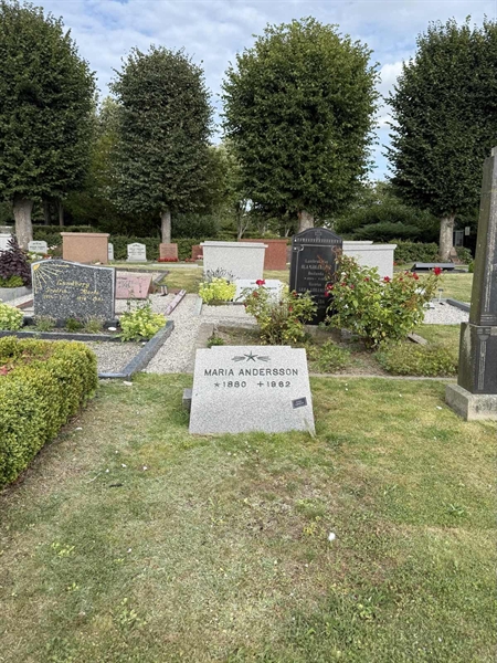 Grave number: ON C   342