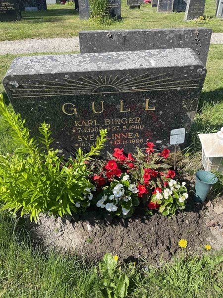 Gravnummer: N 5 1   125