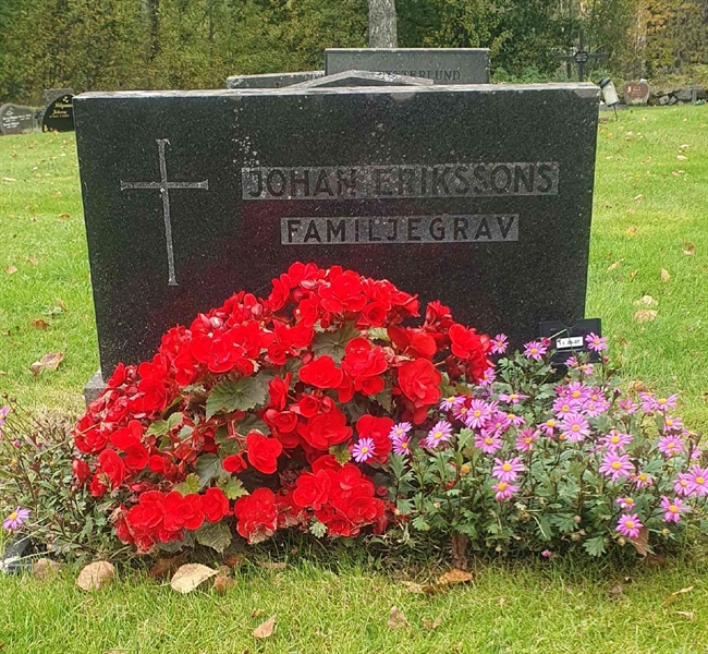 Grave number: 1 I    36-37