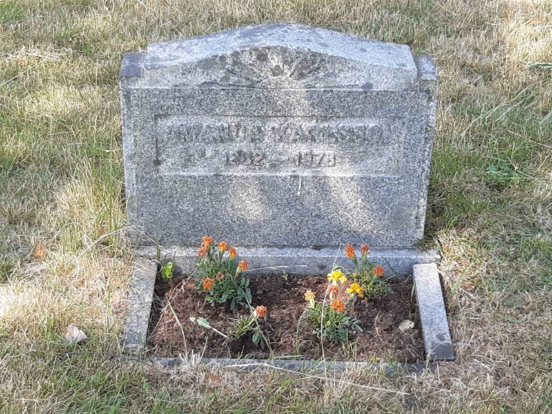 Grave number: VI 02   659