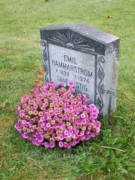 Hautatunnus: NK F B   826