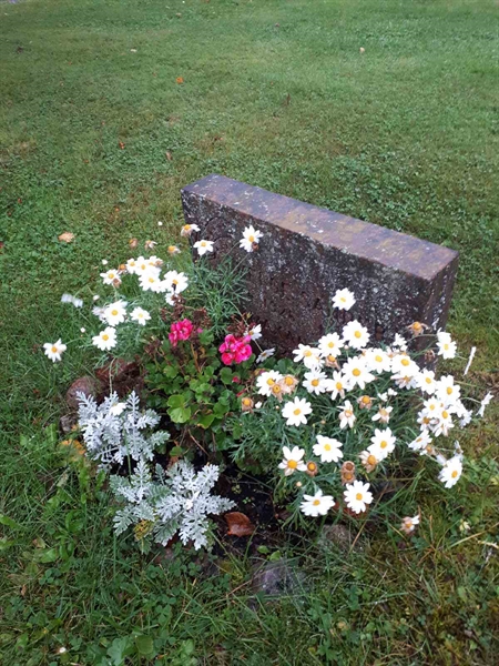 Hautatunnus: NK F D   229