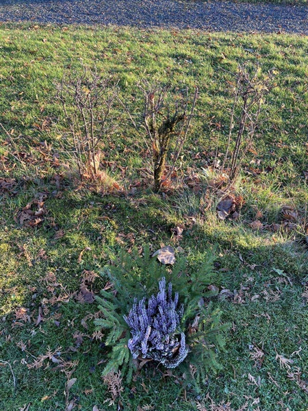 Gravnummer: GK U 2    36