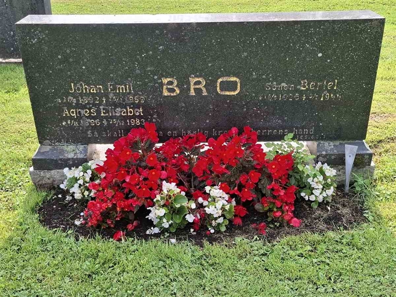 Grave number: Ö 3 3 9-11