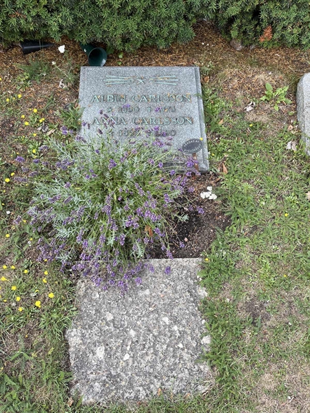 Grave number: NK I:u   130