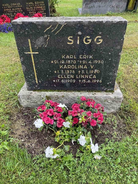 Gravnummer: N 4 4   481