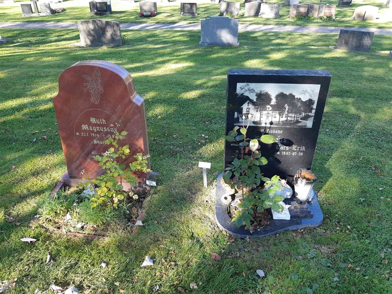 Hautatunnus: Fr 7   549-551