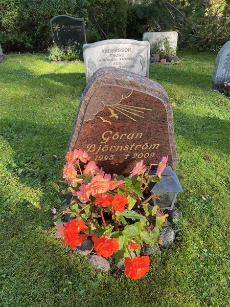 Gravnummer: 30ST HÄGG    25