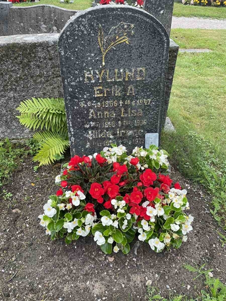 Grave number: N 4 4   512