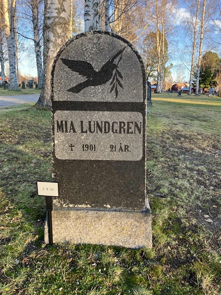 Hautatunnus: 2 B    54