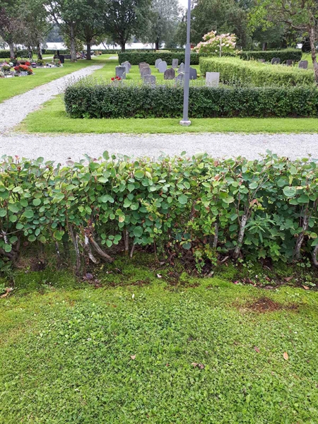 Hautatunnus: NK F A   232