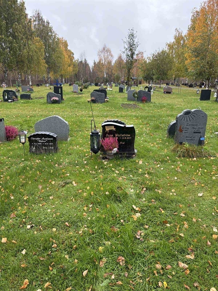 Hautatunnus: NK 22    66