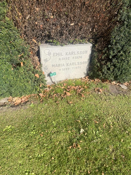 Grave number: 1 1 X    20