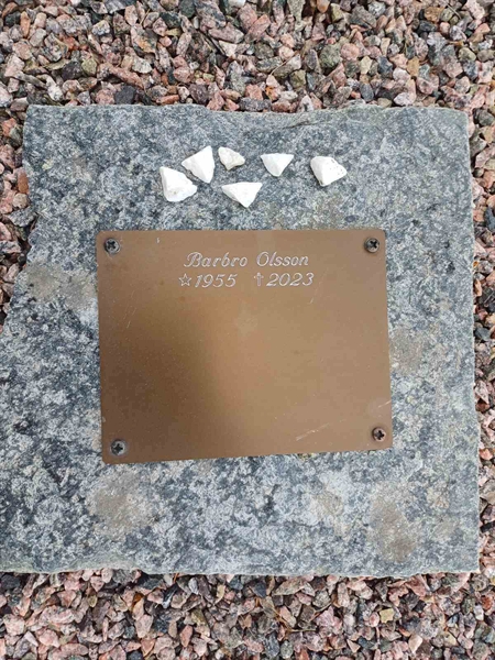 Grave number: SA AGP6   13