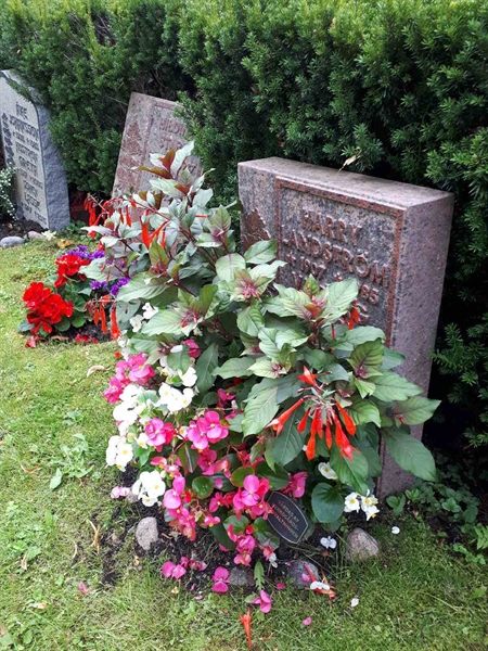 Hautatunnus: GK U 4    67