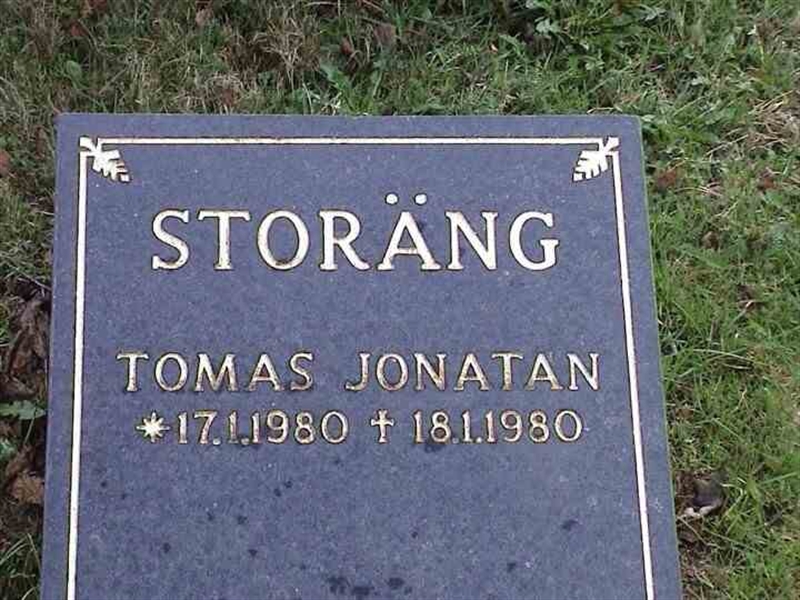 Grave number: 1 GF 04    207