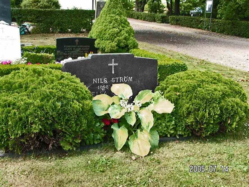 Grave number: 3 B    42, 43