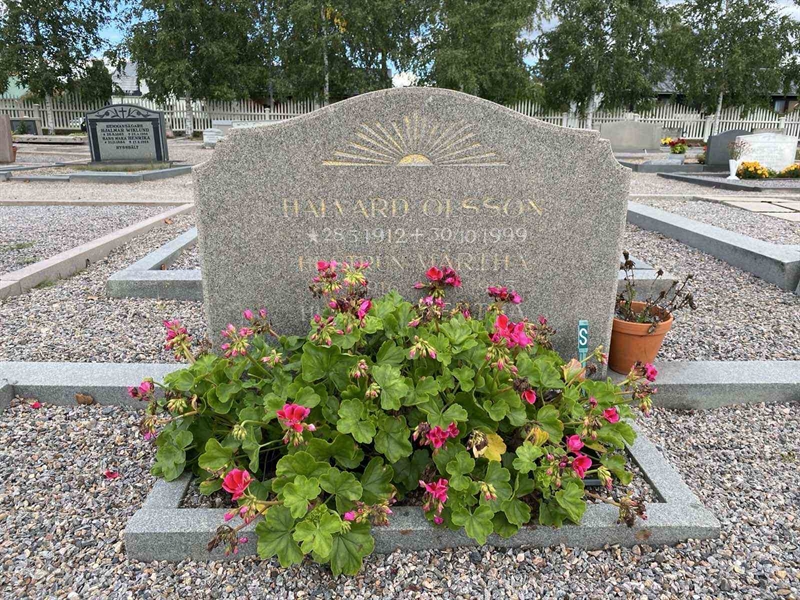Grave number: 2 07   110