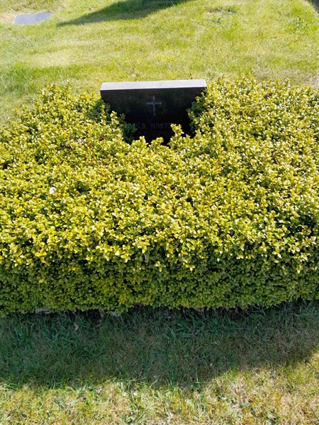 Grave number: 60 B:N 2