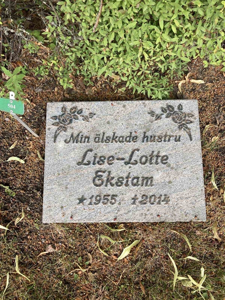 Grave number: Kärn ga pers   504