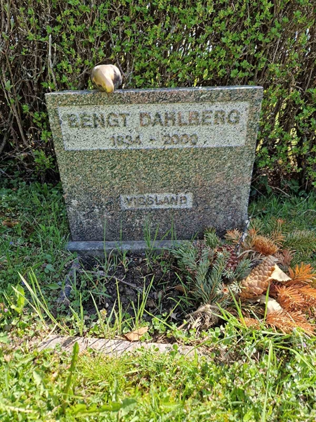 Grave number: 501 17 3195-3196