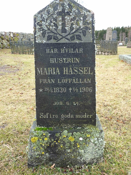 Grave number: SG 4   56