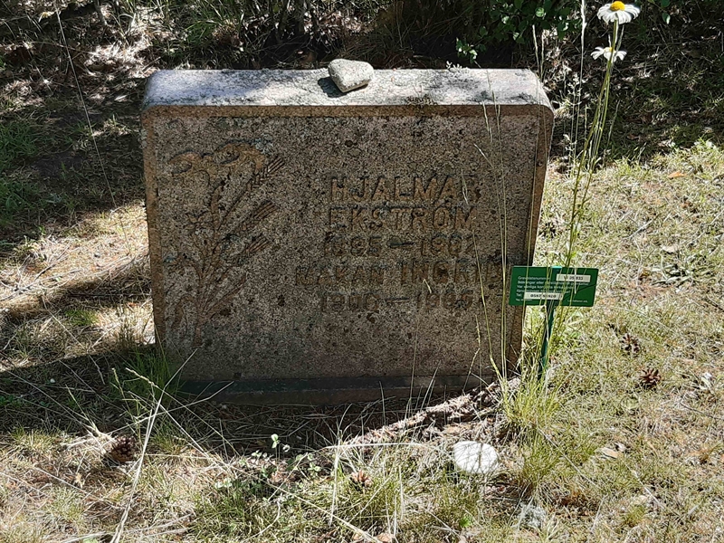 Grave number: VI 05   833