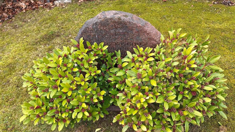 Hautatunnus: VG B    19-20