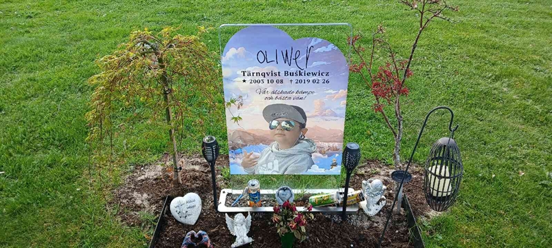 Grave number: 3 Nya L   118-120