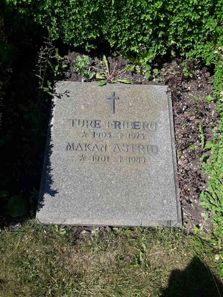 Grave number: TÖ 4   270