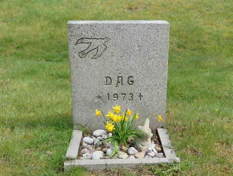 Grave number: 01 B 238:1BG