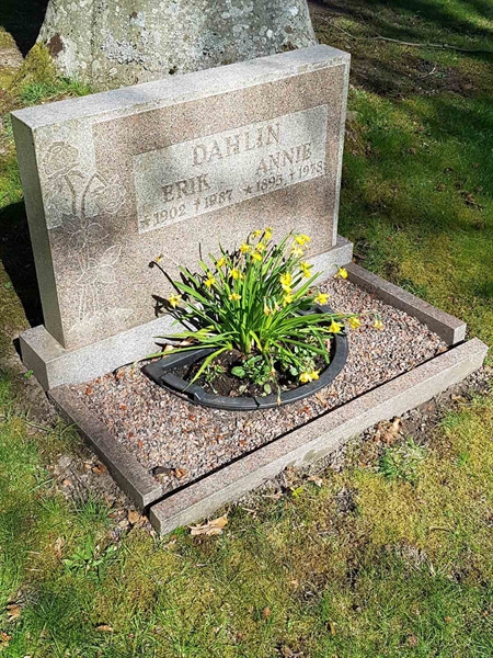 Grave number: 01  3595