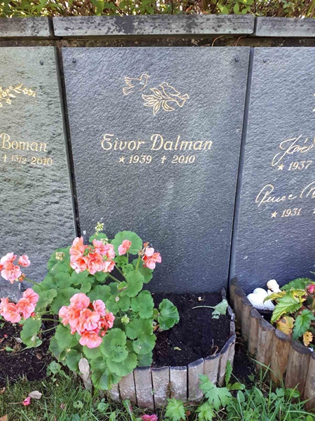 Gravnummer: GK U 4   371