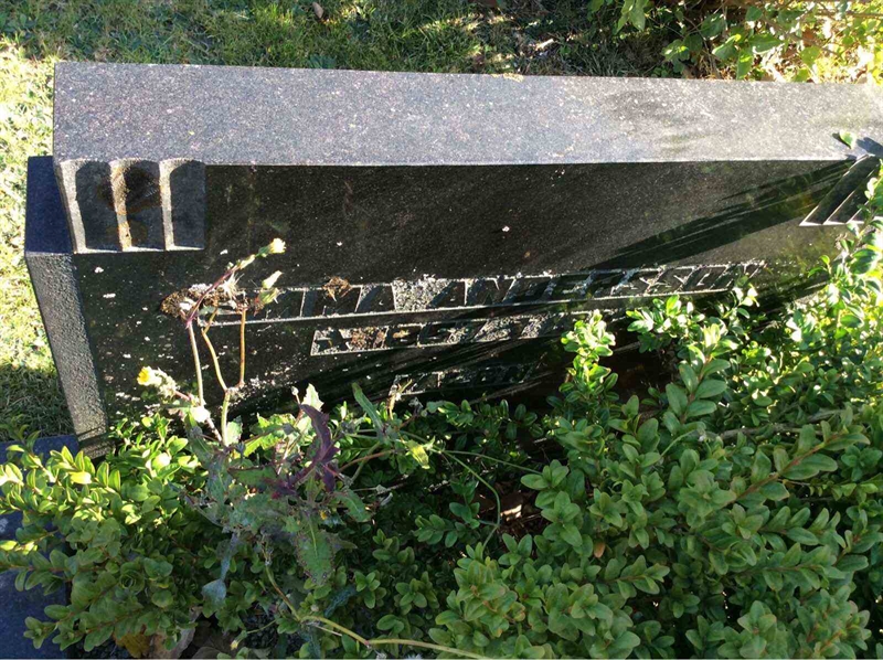 Grave number: F 04    31