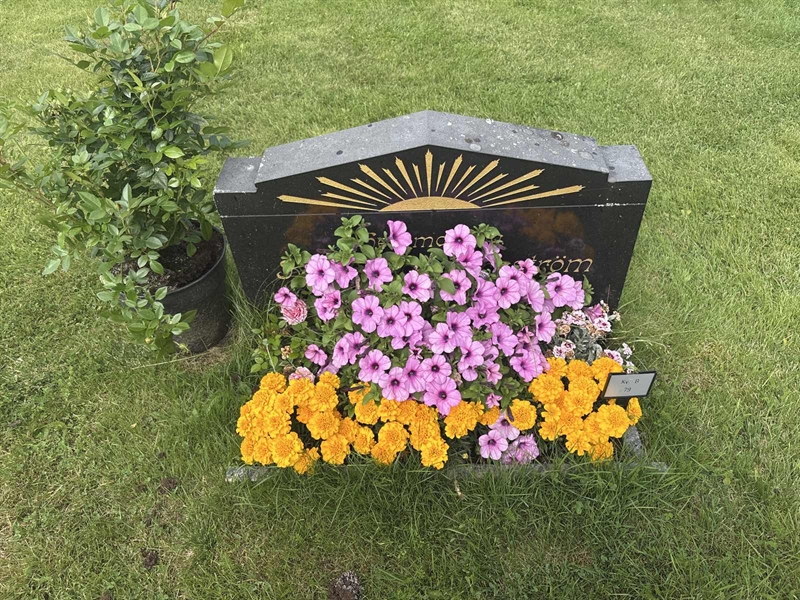 Grave number: 003 B    79