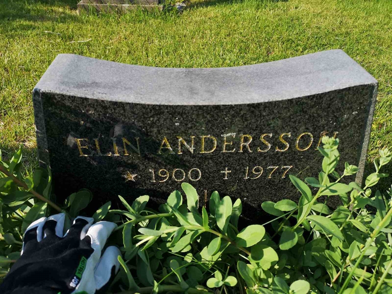 Hautatunnus: NK 06    12