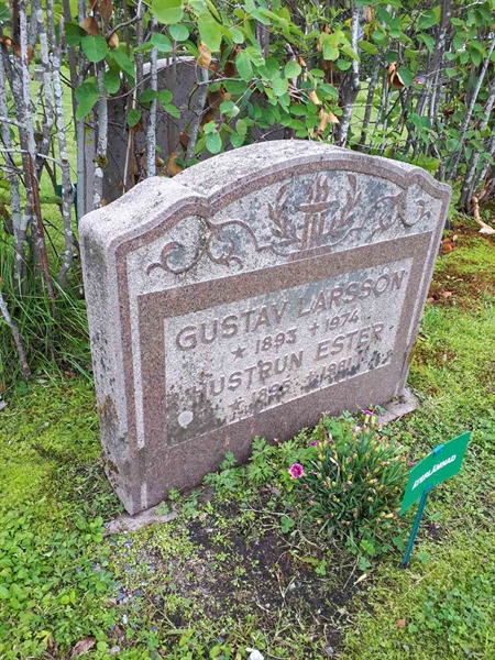 Gravnummer: NK F A   202